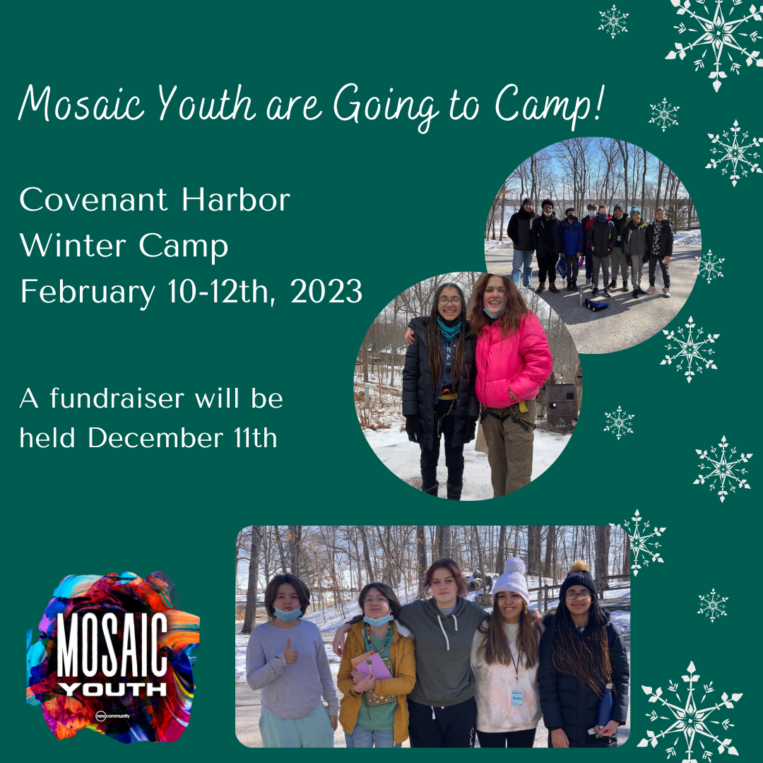 Mosaic Youth Fundraiser